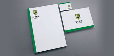 成都VI設(shè)計(jì)公司 打造專業(yè)企業(yè)形象，助力品牌騰飛